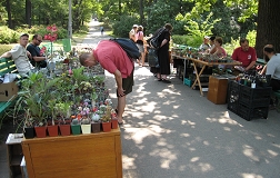 IMG_0040.JPG